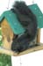 WebPhoto3