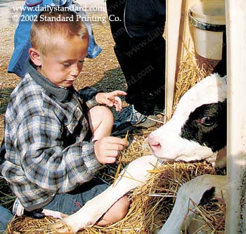 WebPhoto02