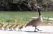 WebPhoto02
