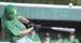 WebPhoto07