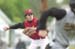 WebPhoto14