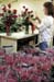 WebPhoto03