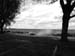 WebPhoto07