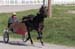 WebPhoto02