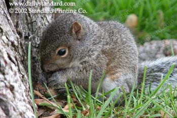 WebPhoto04