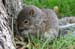 WebPhoto04