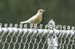 WebPhoto01