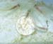 WebPhoto03