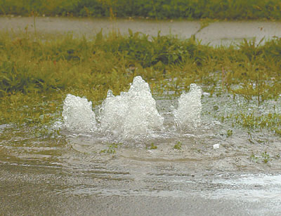 a013