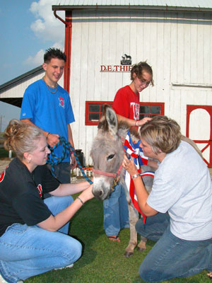 Prepping Brandi the donkey for the Donkey Plop game at this weekend's St. Henry Community Picnic are, left to right, Kelly Delzeith, Matt Bruggeman, Julie Albers and Julie Bruggeman. The teens are members of the St. Henry Youth Group which is sponsoring at least seven events at the picnic this year.<br>dailystandard.com