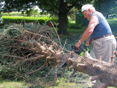 Kenneth Laux, 85, uses a chainsaw to cut up a 30-foot tall spruce tree he chopped down in the backyard of his Celina home. Never a couch potato, Laux said keeping active doing a variety of jobs such as masonry has helped him stay healthy and fit in his senior years.<br>dailystandard.com