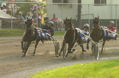 The Mercer County Fair's annual harness racing program will begin on Friday with 11 races starting at 7 p.m. Racing will also take place on Sunday afternoon and Monday evening.<br>dailystandard.com