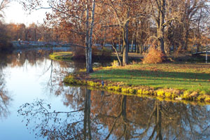 The beauty of autumn is reflected in the quiet waters of Lake Loramie State Park near Minster on Monday afternoon. The spectacle in vibrant shades of gold, crimson and orange continues to draw nature lovers from near and far.<br>dailystandard.com