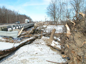 Large branches and whole tree trunks pulled from beneath the bridge on U.S. 127 line the shore of the St. Marys River north of Celina. The debris was removed to prevent logjams and further flooding in the waterways. Engineers, road crews and many officials from both Mercer and Auglaize counties have worked hundreds of overtime hours since the ice storm and flooding.<br>dailystandard.com
