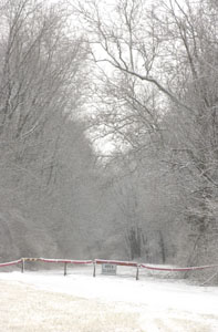 A rope with a sign hangs across West Bank Road leading to West Bank Park in Celina. An official with Grand Lake St. Marys State Park said the park was closed to cut maintenance costs and reduce criminal activity involving individuals having sexual relations at the park. It will reopen in late March.<br>dailystandard.com