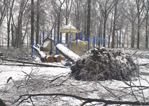 A number of piles of tree limbs and brush downed by the early January ice storm are stacked through the city's parks. City workers will turn their attention this week to cleaning up the parks after spending the past few weeks getting the sides of streets clear of debris.<br>dailystandard.com