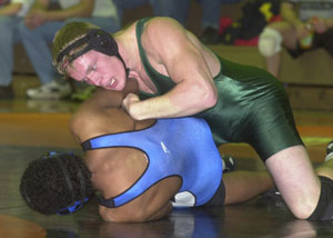 Trent Hellwarth will be one of six Celina wrestlers traveling to Mentor this week to compete in the Division I district tournament. Hellwarth won the 189-pound sectional title at Oregon Clay on Saturday. In all, 30 wrestlers from the Grand Lake Area will compete in district tournaments in all three divisions.<br>dailystandard.com