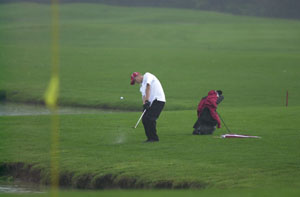 Jay Woeste will represent St. Henry at the Division III state golf tournament starting Friday in Lockbourne.<br></br>dailystandard.com