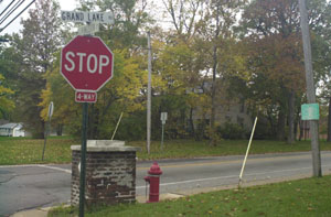 The intersection at Grand Lake Road and Livingston Street may change from a residential lot to strip shopping mall.<br></br>dailystandard.com