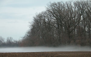 Fog hangs in the air next to a large patch of snow near a woods along Monroe Road in rural Celina on Wednesday. Warmer temperatures, combined with rain and snow already on the ground, created several foggy areas around the Grand Lake area during the day.<br></br>dailystandard.com