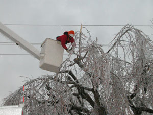 An employee contracted by Midwest Electric in St. Marys trims tree branches near power lines in rural Coldwater during the January ice storm. Midwest, a customer-owned electric cooperative, is about to embark on a $3.1 million improvement plan.<br></br>dailystandard.com