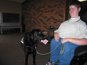 Tao, a Labrador and golden retriever cross, follows 17-year-old Eric Hemmelgarn's commands, as he picks up a deck of cards. The assistance dog responds to more than 50 commands.<br></br>dailystandard.com