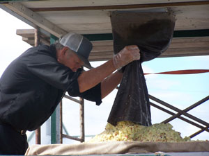 On Sunday afternoon, at Niekamp's Farm and Flea Market, John Pruden does step three of apple pressing. First apples are loaded and chopped; then they drop to this level where John and his wife, Helen, smooth them into even layers. Once 25 or more bushels are layered the over 100-year-old press is ready to produce cider. The press will be in action on the weekends and cider is available throughout the week.<br></br>dailystandard.com