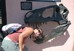At the Black Hills Institute in South Dakota, Jennifer Burnett, a senior criminal justice major from Celina, demonstrates the size of a Tyrannosaurus Rex's jaw.<br></br>dailystandard.com