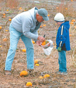 Warren Menchhofer helps South Adams Elementary first-grader Gavin Newman choose a pie pumpkin in a field at Menchhofer Fall Markets on Wabash Road in rural Coldwater. Pumpkin harvests locally and statewide were diminished this year due to a variety of reasons including an overly-wet planting season and rodent problems.<br></br>dailystandard.com