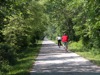 local picture
