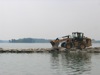 local picture