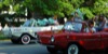 local picture
