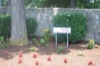 local picture