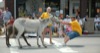 local picture