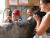 local picture