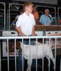 local picture