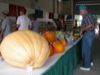 local picture