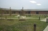 local picture