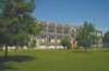 local picture
