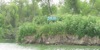 local picture