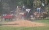 local picture