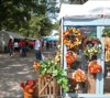 local picture