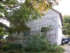 local picture