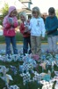 local picture