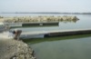 local picture
