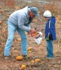 local picture