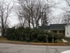 local picture