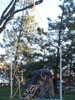 local picture