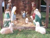 local picture