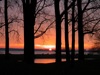 local picture